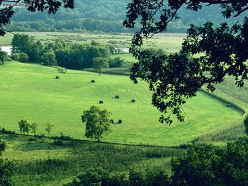 Fertile Farmlandnear Natchez Trace Parkway Tennessee screenshot