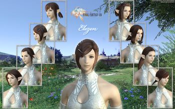 FFXIV Elezen Female Hairstyle Wallpaper screenshot