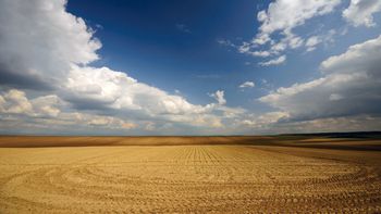 Field In Mexico screenshot