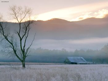 Fields Of Frost Grundy County Tennessee screenshot