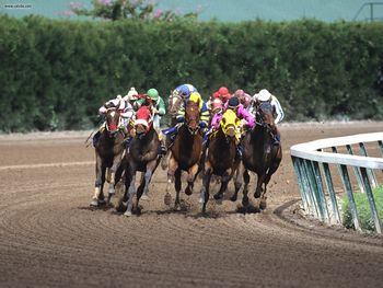 Fight To The Finish Gulfstream Park Florida screenshot