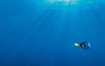 Finding Dory Movie screenshot