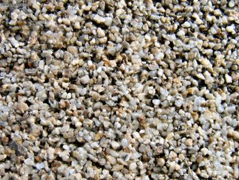 Fine Pebble Concrete screenshot