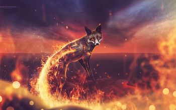 Fire Fox screenshot