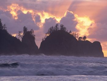 First Beach, Olympic National Park, Washington screenshot