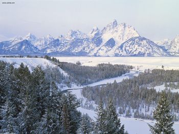 First Snowfall Snake River Wyoming screenshot