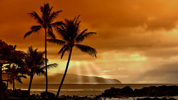 Flaming Paradise Sunset screenshot