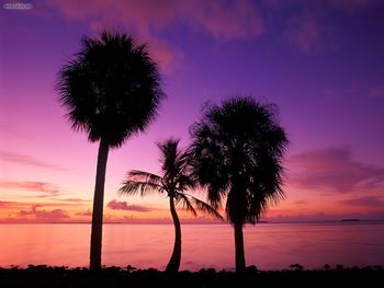 Florida Bay Sunrise Everglades National Park Florida screenshot