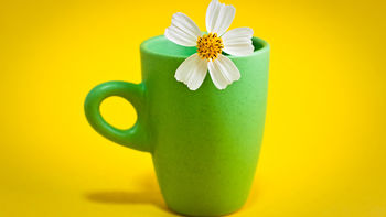 Flower Cup screenshot