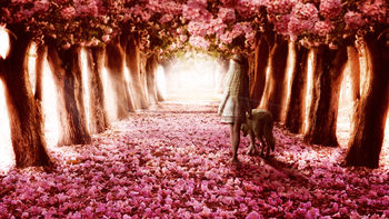 Flower Path screenshot