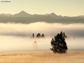 Fog At Sunrise Pelican Valley Yellowstone National Park Wyoming screenshot