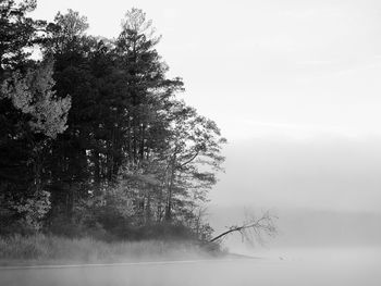 Foggy Lake Black And White screenshot