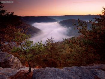 Foggy Morn Red River Gorge Daniel Boone National Forest Kentucky screenshot