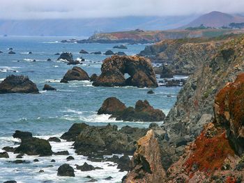 Foggy Morning, Bodega Bay, California screenshot