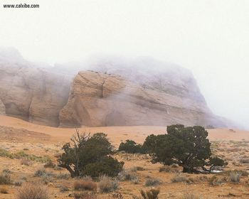 Foggy Rocks screenshot