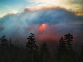 Foggy Sunrise From Clingmans Dome, Great Smoky Mountains, Tennessee screenshot