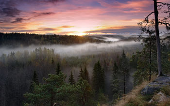Foggy Sunrise National Park screenshot