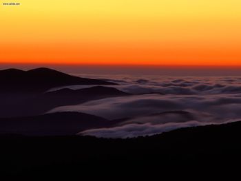 Foggy Sunset Over Clingmans Dome Great Smoky Mountains screenshot