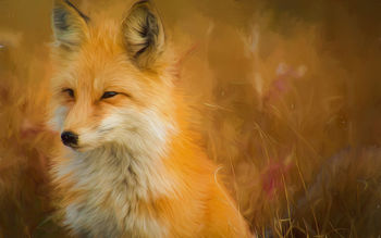 Fox Paint Artwork 5K screenshot