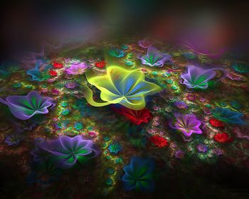 Fractal Flower screenshot