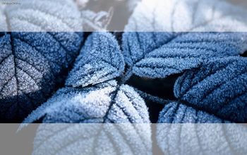 Freeze screenshot