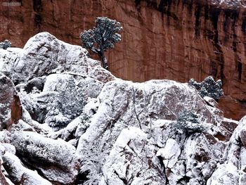 Frosted Rocks Red Rock Cliffs Colorado Springs Colorado screenshot