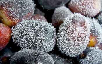 Frozengrapes screenshot