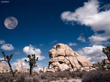 Full Moon At Joshua Tree California screenshot