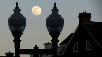 Full Moon Over Blue-back Square screenshot