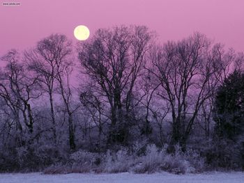 Full Moon Over Edwin Warner Park Nashville Tennessee screenshot