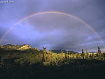Full Rainbow Fall Denali National Park Alaska screenshot