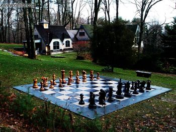 Garden Chess screenshot