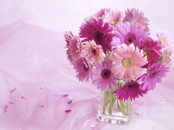 Gerbera Daisy Arrangement screenshot