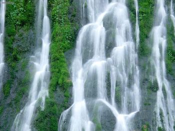 Gifford Pinchot National Forest Washington screenshot