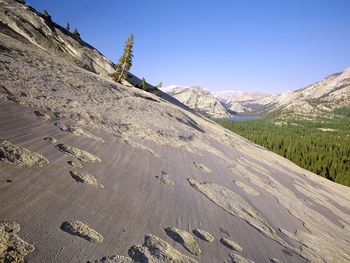 Glaciated Slopes Yosemite California screenshot