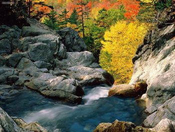 Glen Ellis Falls White Mountain National Forest New Hampshire screenshot