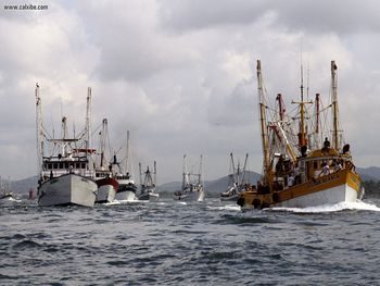 Going Fishing Port Of Mazatlan Mexico screenshot