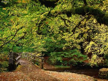 Going Home Silver Falls State Park Oregon screenshot