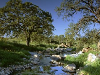 Gold Country, California screenshot