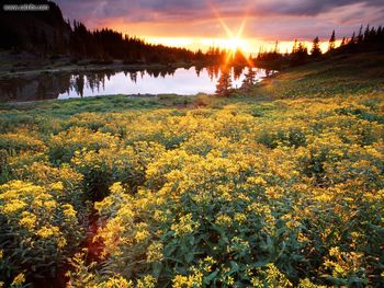 Gold King Basin San Juan Colorado screenshot