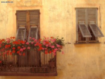 Golden Afternoon Provence France screenshot