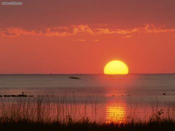 Golden Moment Gulf Of Mexico Florida screenshot