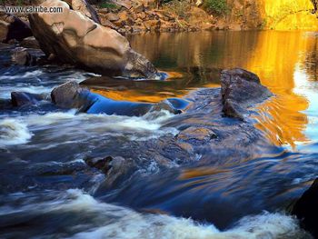 Golden Rapid screenshot