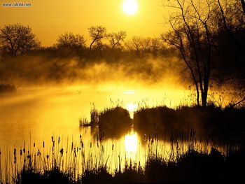 Golden Sunrise Colorado screenshot