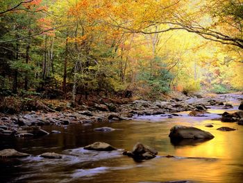 Golden Waters, Great Smoky Mountains National Park, Tennessee screenshot