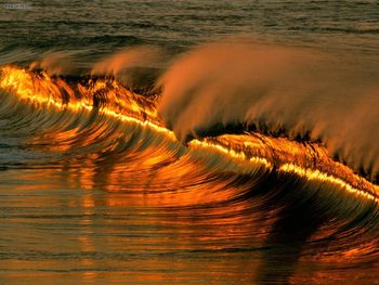 Golden Wave At Sunset Puerto Escondido Mexico screenshot