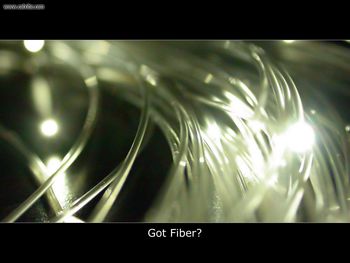 Got Fiber? By Botzy screenshot