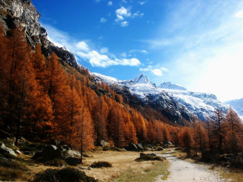 Gran Paradiso screenshot