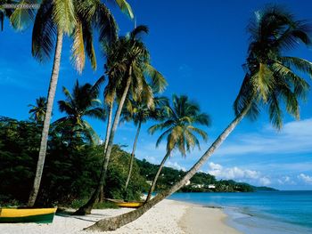 Grand Anse Beach Grenada screenshot