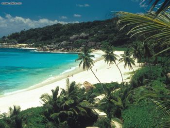 Grand Anse Seychelles screenshot